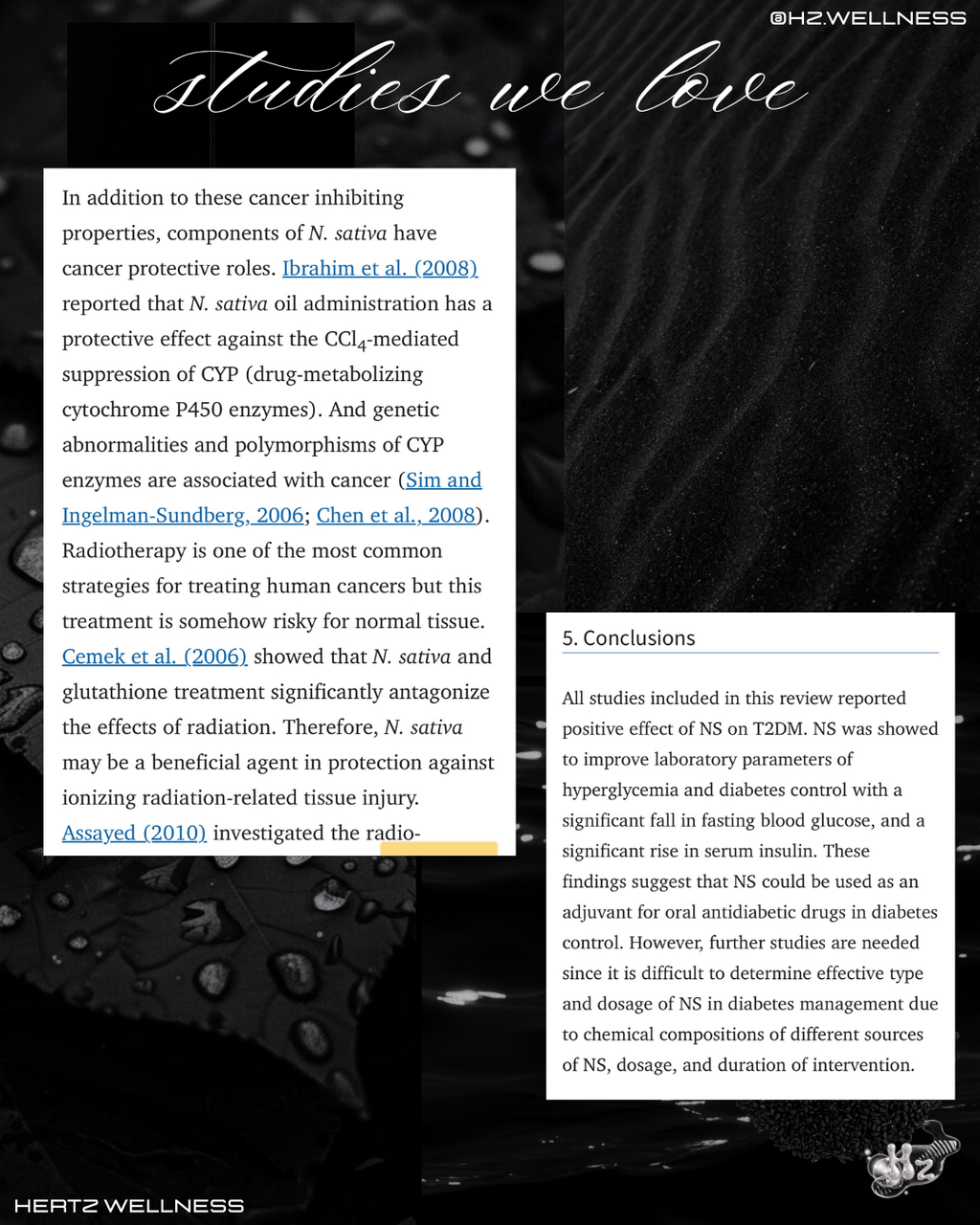 ANCIENT HEALER: BLACK SEED +SEA MOSS CAPSULES