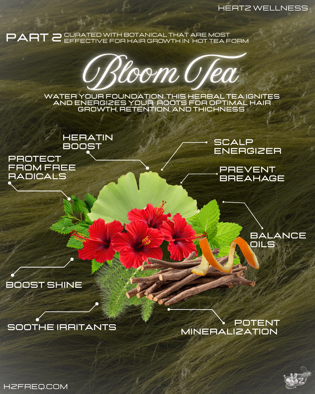 HAIR HABITAT COLLECTION: 2 Rooted Capsules + Bloom Tea