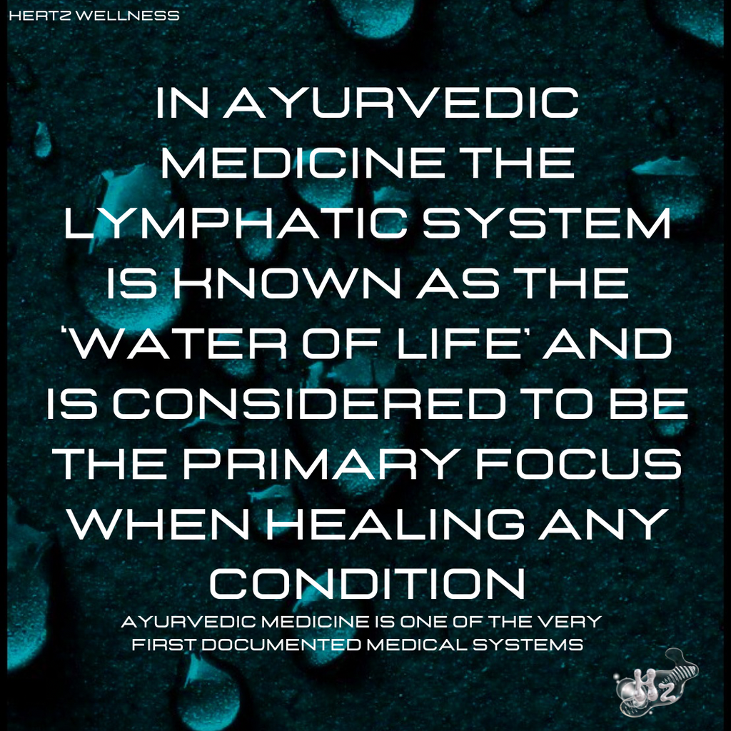 LYMPHLOVE: LYMPHATIC SUPPORT + IMMUNITY RESET CAPSULES