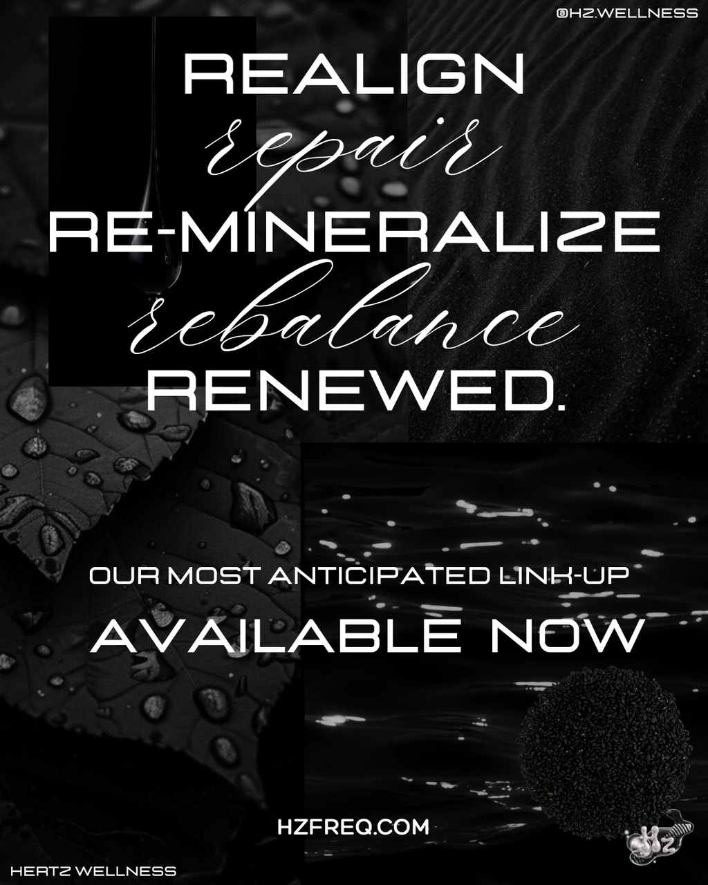 ANCIENT HEALER: BLACK SEED +SEA MOSS CAPSULES