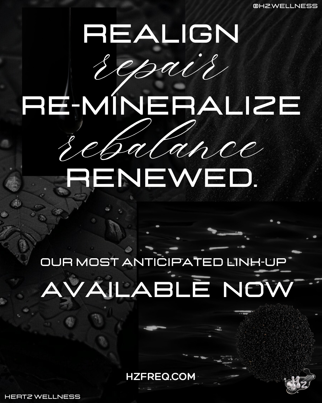 ANCIENT HEALER: BLACK SEED +SEA MOSS CAPSULES