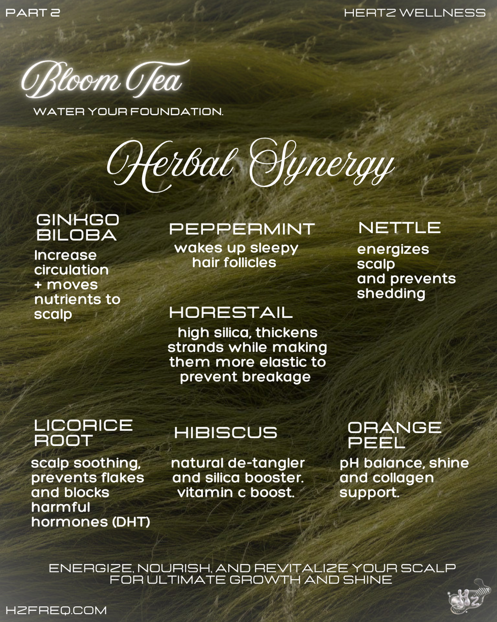 HAIR HABITAT COLLECTION: 2 Rooted Capsules + Bloom Tea