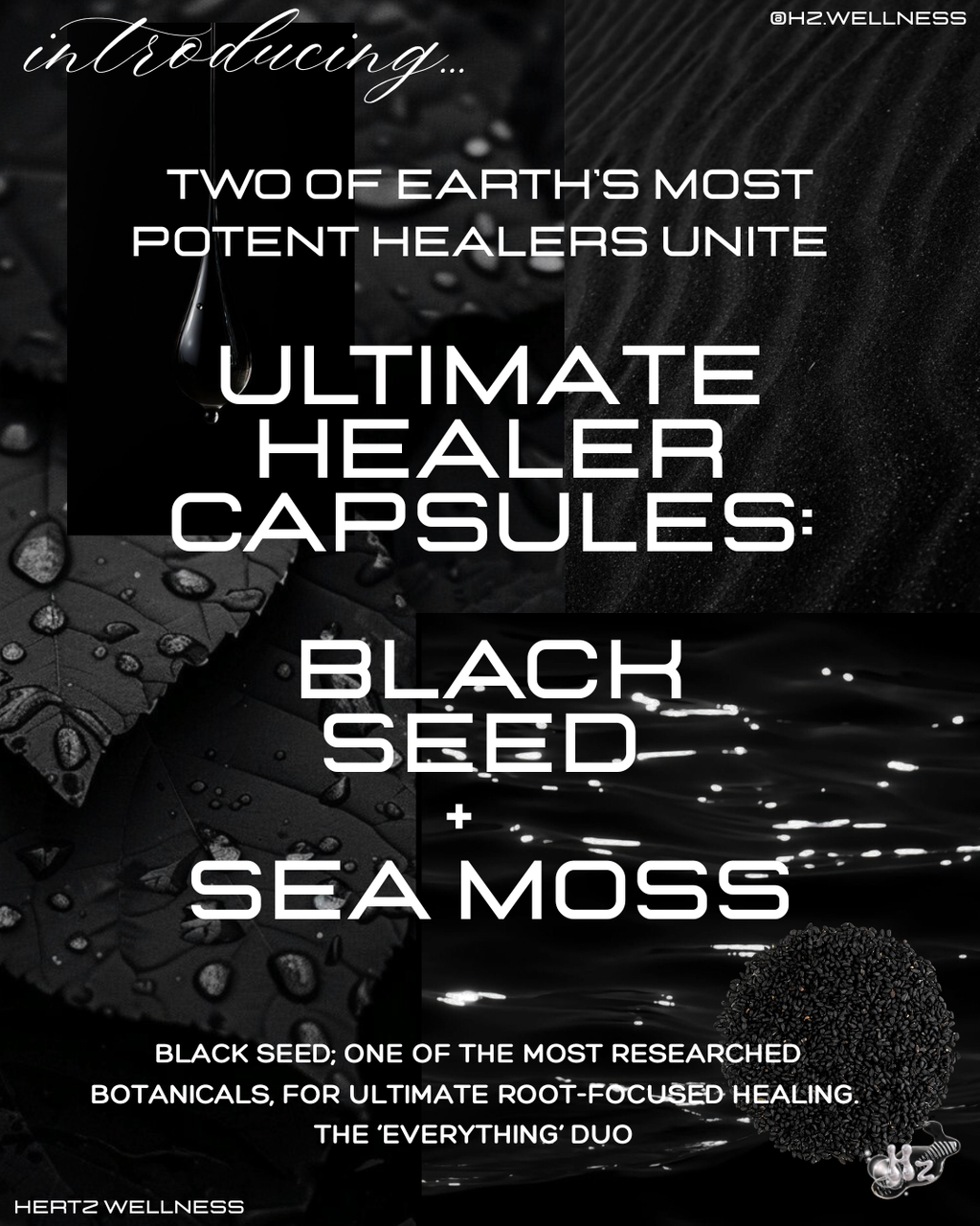 ANCIENT HEALER: BLACK SEED +SEA MOSS CAPSULES