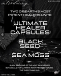 ANCIENT HEALER: BLACK SEED +SEA MOSS CAPSULES