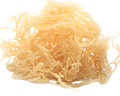 DRY SEA MOSS