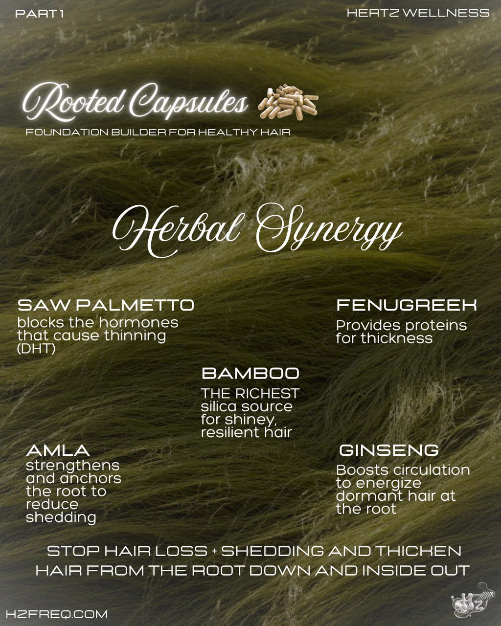 HAIR HABITAT COLLECTION: 2 Rooted Capsules + Bloom Tea